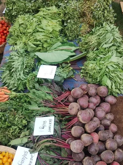 A vibrant collection of winter greens and root vegetables, including beetroot, *arbi patta*, and various *saag*.