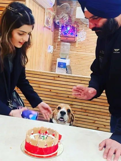 Celebrating birthdays is one of my favorite things to do. Here's the lovely Coco with his family, about to enjoy his special birthday cake. It brings me so much joy to make these moments memorable for both pets and their parents.
