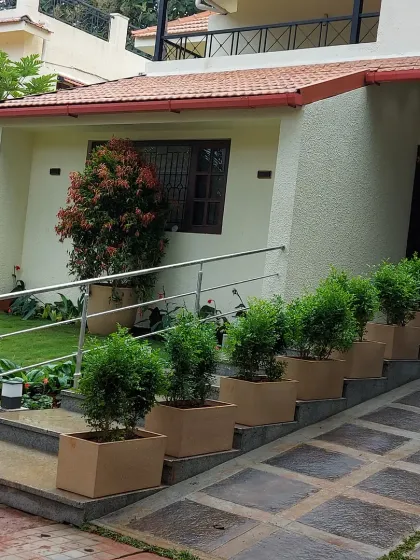 An example of how I use structured planters and lush greenery to create an elegant and welcoming entrance for a home. This design features uniform shrubs for a clean, modern landscaping look.