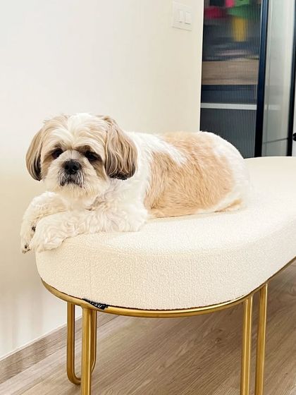 Aantrik - Turnkey Home Interior Solutions Additional Work & Design Details photo 52