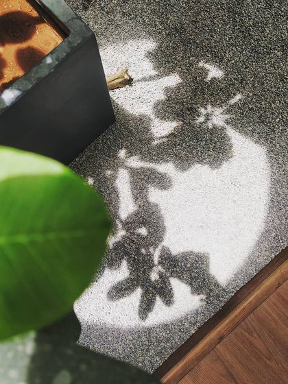 The simple, beautiful interplay of light and shadow. Here, the shadow of a Plumeria tree is cast through an oculus onto a gravel surface, creating a living piece of art that changes throughout the day.