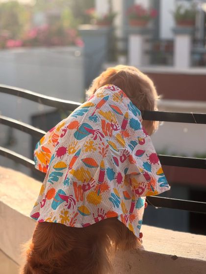 Posto enjoying the spring vibes at Santiniketan during Basanta Utsav (Holi).