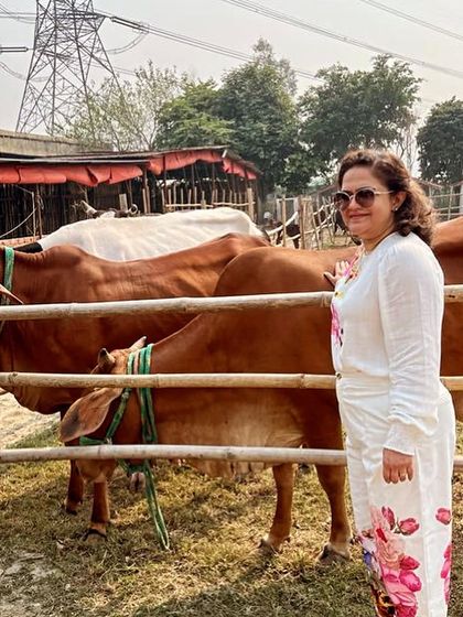 Get up close with our herd of gentle cows. Our guests love spending time with these calm and social animals in their enclosure.
