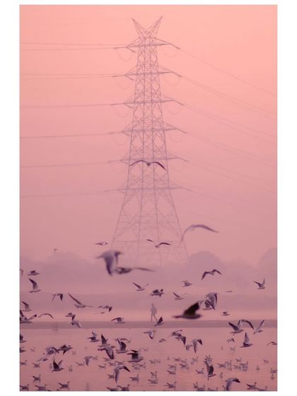 A flock of birds flies in front of a massive electricity pylon at the Yamuna Ghat. The pinkish hue of the sky creates a surreal and beautiful color palette.