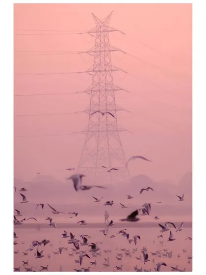 A flock of birds flies in front of a massive electricity pylon at the Yamuna Ghat. The pinkish hue of the sky creates a surreal and beautiful color palette.