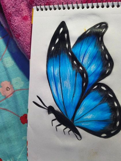 A vibrant blue butterfly I drew using colored pencils. I focused on the blending and texture of the wings.