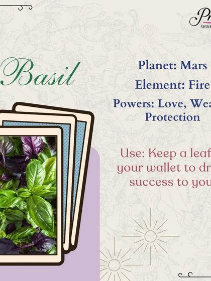 Manifestation & The Law of Attraction photo 10