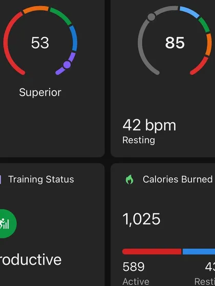 My stats showing a "Productive" training status. This means my fitness is improving. The data helps confirm that the training plan is working.