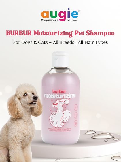 Augie Pets - Pet Supplies Spa Day at Home: Gentle Grooming Essentials photo 12