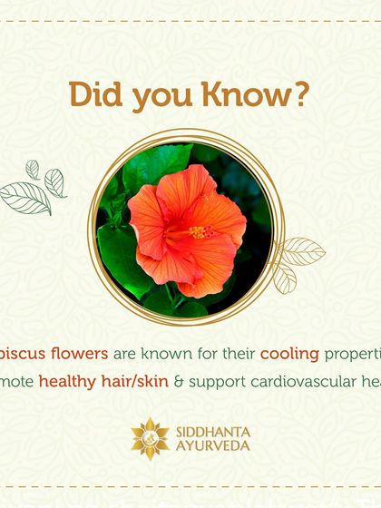 Siddhanta Ayurveda - Skin & Hair Care The Power of Ayurvedic Herbs photo 10