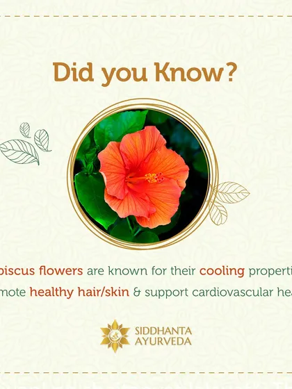 Did you know that hibiscus flowers have cooling properties? They are excellent for promoting healthy hair and skin. I incorporate them into various preparations for their nourishing benefits.