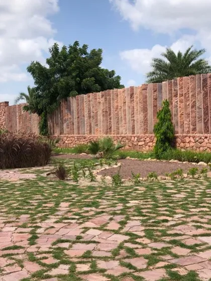 Another view of the Jodhpur project, showing the permeable paving and the boundary wall made of vertical stone slabs. The planting is still young here, but is designed to mature into a garden that is resilient to the local climate.
