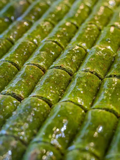 A vibrant green pistachio baklava roll. The intense color and glistening texture make this a visually stunning image.