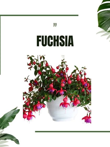 Greening Every Space photo 7