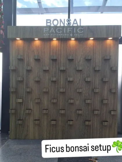 The foundational structure of the bonsai wall at Pacific Mall, complete with integrated shelving and overhead lighting. This custom-built framework is the first step in creating the stunning final installation.