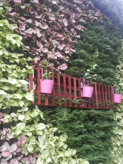 A close look at the textures and colors of a living wall. I used a variety of plants to create this pattern and integrated a small wooden trellis with pots for a custom, personal touch.