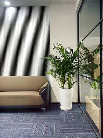 A3 Design Studio - Commercial Interior Design Biophilic Design: Integrating Nature photo 9