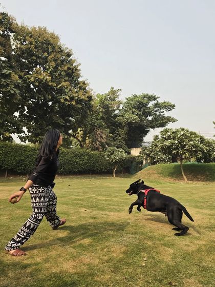The chase is on. Our staff actively participate in playtime to keep the dogs engaged and happy.