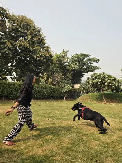 A guest playing fetch with Dilawar, a black Labrador. This kind of one-on-one interaction is crucial for building a dog's confidence and trust in people.