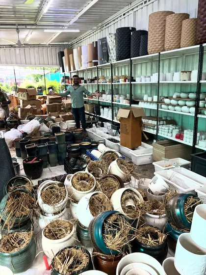 A glimpse of the sheer volume and variety of pots I stock. From floor to ceiling, my nursery is filled with planters of all shapes, sizes, and materials.