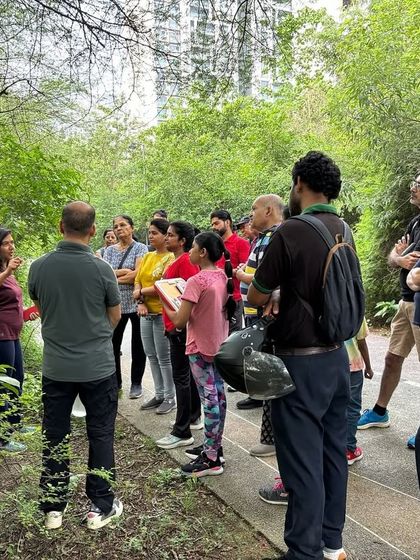 Our volunteer guide briefs a group of citizens during a nature walk at the Badshahpur Forest Corridor, pointing out native plants and insects.