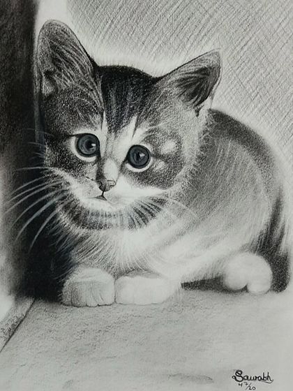 An adorable pencil sketch of a kitten, perfectly capturing its curious and innocent expression. Our students learn to draw animals with life and personality.
