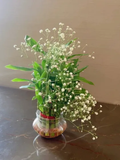 A fresh and green centerpiece with lucky bamboo and baby's breath.
