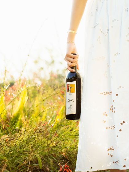 A guest carries a bottle of our popular Art Collection Shiraz through the sunlit fields of our estate. This wine is bold and expressive, and learning about its journey from vine to bottle is a key part of our immersive tasting experience.