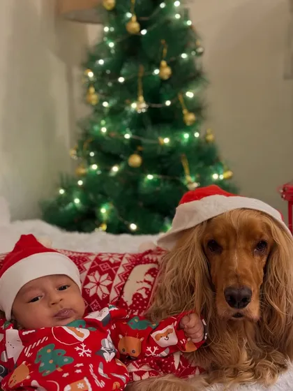 Our two little Santas, Posto and Pablo, posing in front of the Christmas tree.
