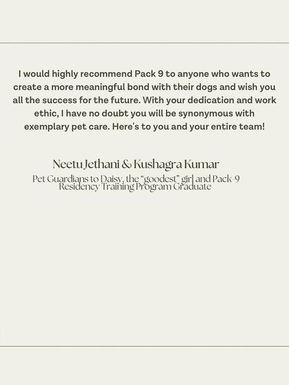 The conclusion of Daisy's family's letter, highly recommending Pack-9 to anyone who wants to build a more meaningful bond with their dog.