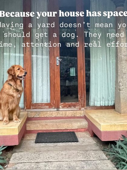 Nitika Ahlawat - Dog and Child Safety & Integration Is Your Family Ready for a Dog? photo 5