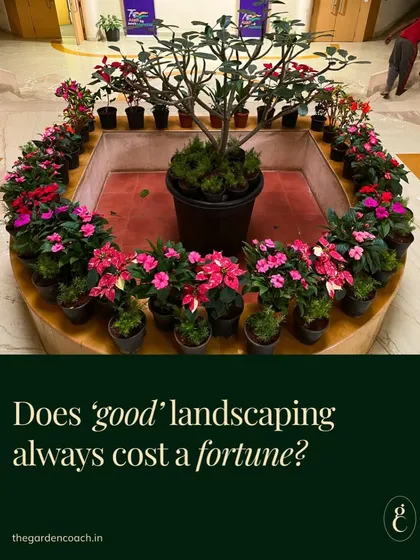 I believe beautiful landscaping should be accessible. This image addresses the common concern about cost, reinforcing my commitment to providing top-notch, affordable solutions that bring your dream garden to life without breaking the budget.