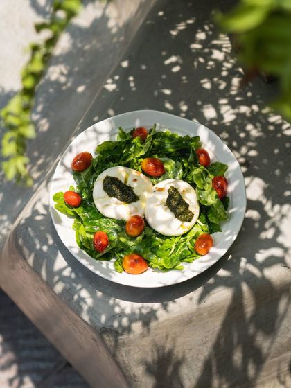 An overhead shot of our burrata salad, beautifully plated with fresh greens and cherry tomatoes, captured in dappled sunlight.