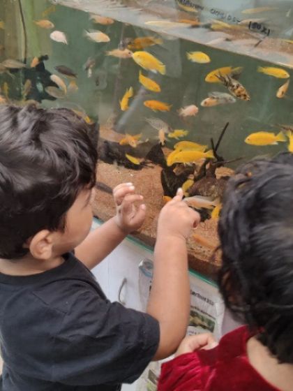 A gallery from our day at the aquarium. The children's faces light up with wonder as they observe the magic of underwater life, from colorful fish to starfish.