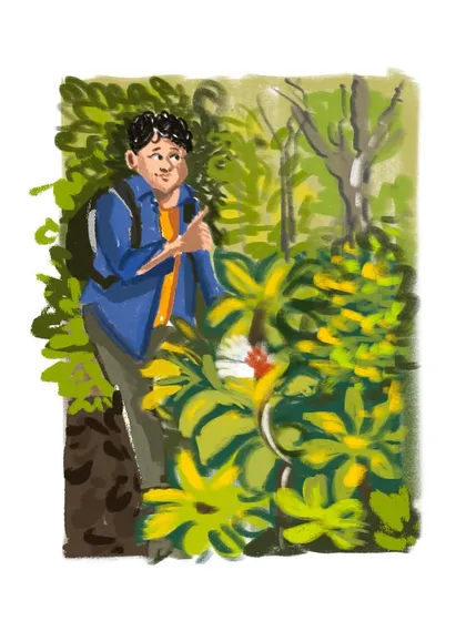 A digital illustration capturing a moment from a nature walk, where our guide points out interesting flora.