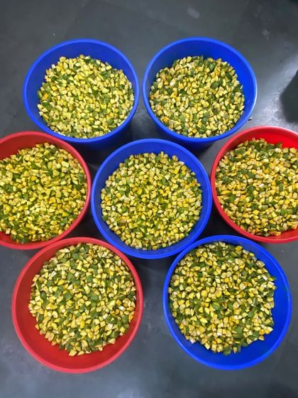 Pickle making is a labour of love. From slicing fresh desi mangoes to marinating them in salt and turmeric and letting them bask in the sun, each step is essential to create a jar of preserved perfection.