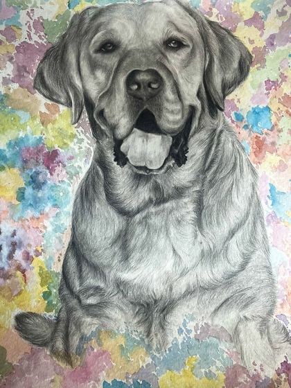 Sumana M - Commissioned Art & Custom Portraits Pet Portraits photo 4