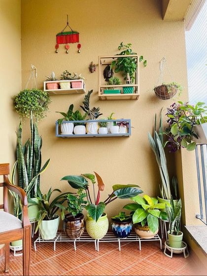 Another corner of the balcony organization project. We used a combination of wall shelves and a multi-tiered plant stand to display a variety of plants, from snake plants to philodendrons, creating a lush, green corner.