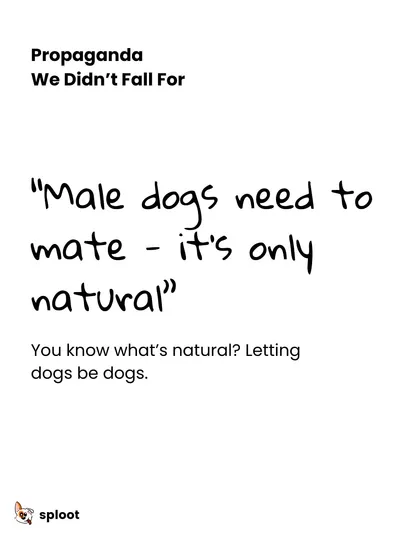 Propaganda we didn't fall for: "Male dogs need to mate, it's only natural." You know what's natural? Letting dogs be dogs, and making responsible choices like spaying and neutering.