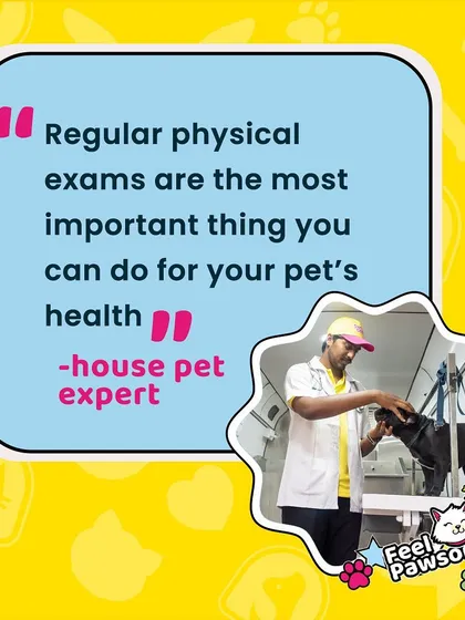 Regular physical exams are crucial for catching health issues early, since pets can't tell us when something is wrong. This is why our 'Vet on Wheels' service is so important, allowing for a thorough check-up in a familiar environment where your pet feels safe.