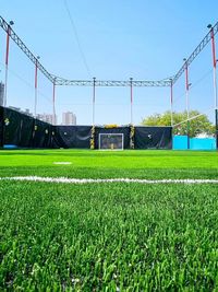 Artificial Turf & Grass Installation