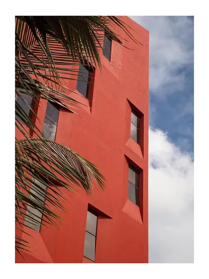 A detail shot of the facade, where the sharp lines of the building contrast with the organic form of a palm tree.