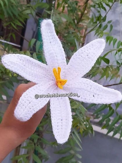 Another view of the large white lily stem.