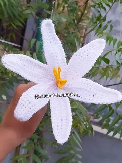 Another view of the large white lily stem.