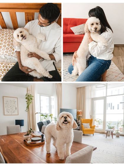 A collage showcasing the fun and love in Dinkan's home. From being cradled like a baby to proudly standing on the dining table, his personality shines through.