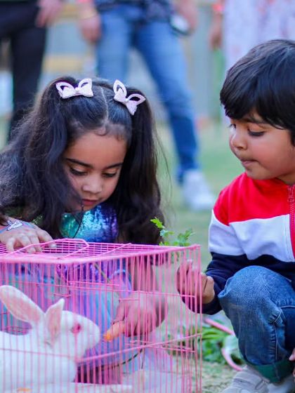 Farmus - Private Parties & Events Our Furry & Feathered Friends photo 22