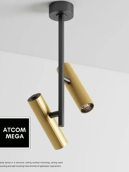 The Lynx-Spot series includes this ceiling surface-mounted version. Its elegant design, featuring two adjustable heads on a central stem, makes it a beautiful and functional statement piece.
