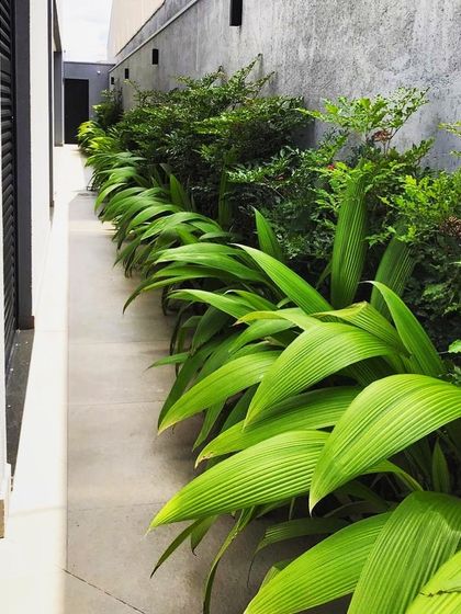 Curated Plants & Hardscape Materials photo 4