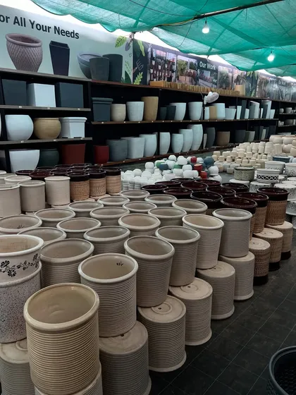 Our indoor showroom is filled with a vast collection of ceramic and other designer pots. You can find a wide variety of shapes, sizes, and textures to match any decor style.