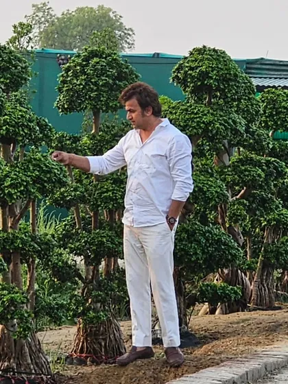 Here I am at my nursery with a collection of large, mature Ficus bonsai trees. This shows the scale and quality of the plants I cultivate and care for.